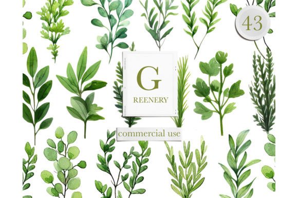 Download Watercolor Greenery Leaves Clipart - Greenery Collection
